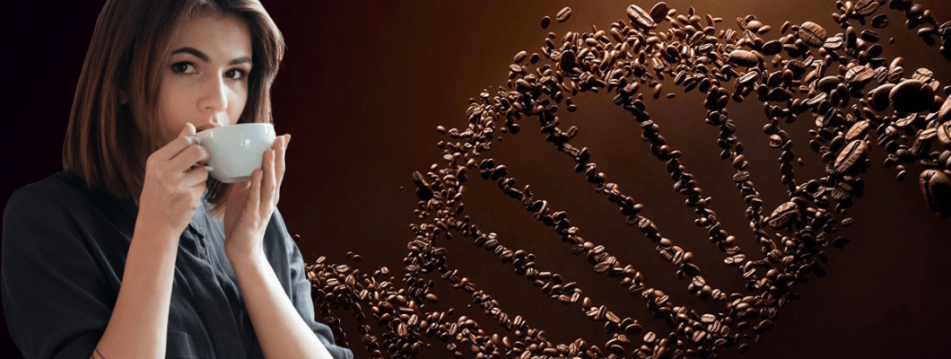 Coffee Genome Nedir? Kahvenin Genomundan Sizin Kahve Profilinize