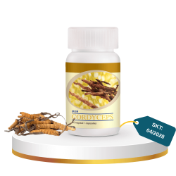 DXN Cordyceps (Tırtıl Mantarı)