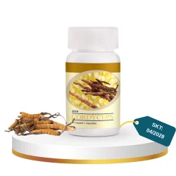 DXN Cordyceps (Tırtıl Mantarı)