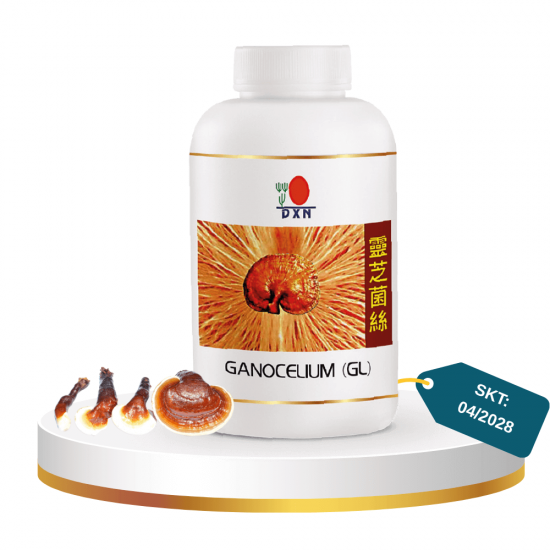 DXN Ganocelium (GL) 360 Kırmızı Mantar Ganoderma Lucidum Gold DXN Ganocelium (GL) 360 Kırmızı Mantar Ganoderma Lucidum Gold