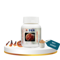 Reishi Mushroom Powder Kırmızı Mantar Toz Ekstrakt RG + GL