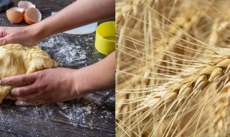 Çölyak Hastalığı Belirtileri ve Tedavisi