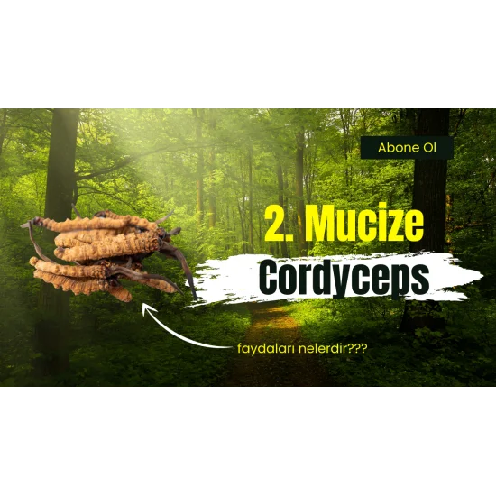 DXN Cordyceps Coffee Sinensis kahve	