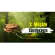 DXN Cordyceps Coffee Sinensis kahve	
