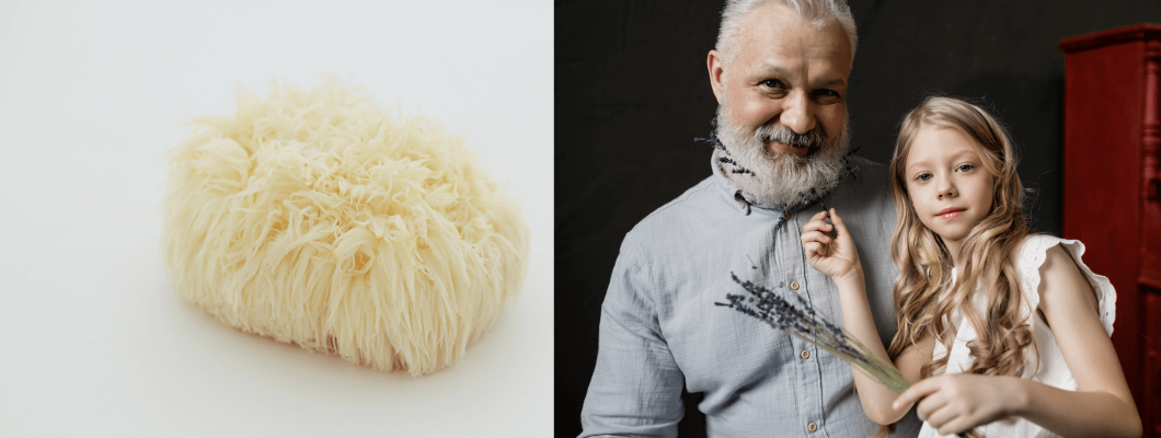 Dede Sakalı Mantarı nedir Faydaları nelerdir? Dede Sakalı Mantarı nedir Faydaları nelerdir?