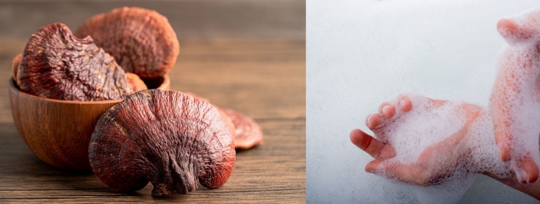 Ganodermalı(Kırmızı Reishi Mantarlı) Sabun: Sağlığa Yararları ve Kullanımı Ganodermalı(Kırmızı Reishi Mantarlı) Sabun: Sağlığa Yararları ve Kullanımı