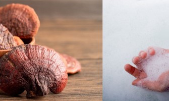 Ganodermalı(Kırmızı Reishi Mantarlı) Sabun: Sağlığa Yararları ve Kullanımı