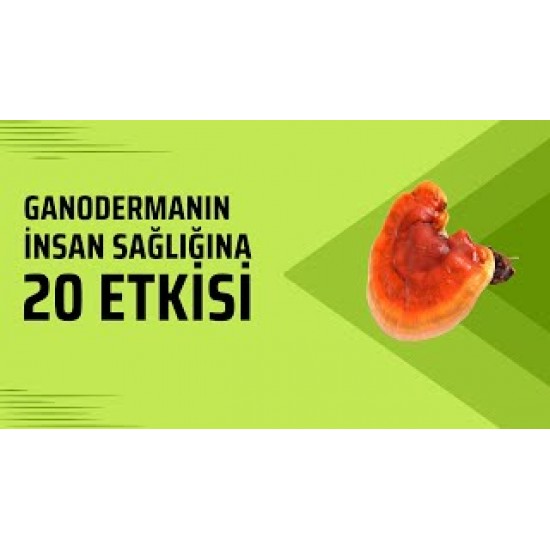 DXN Reishi Gano (RG) Kırmızı Mantar Ganoderma Lucidum	