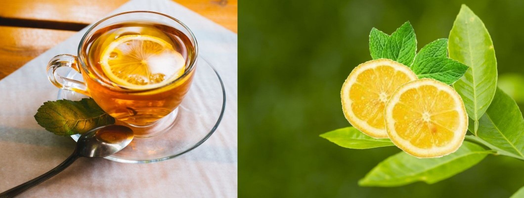 Limonlu Çay: Nasıl yapılır faydaları nelerdir Limonlu Çay: Nasıl yapılır faydaları nelerdir