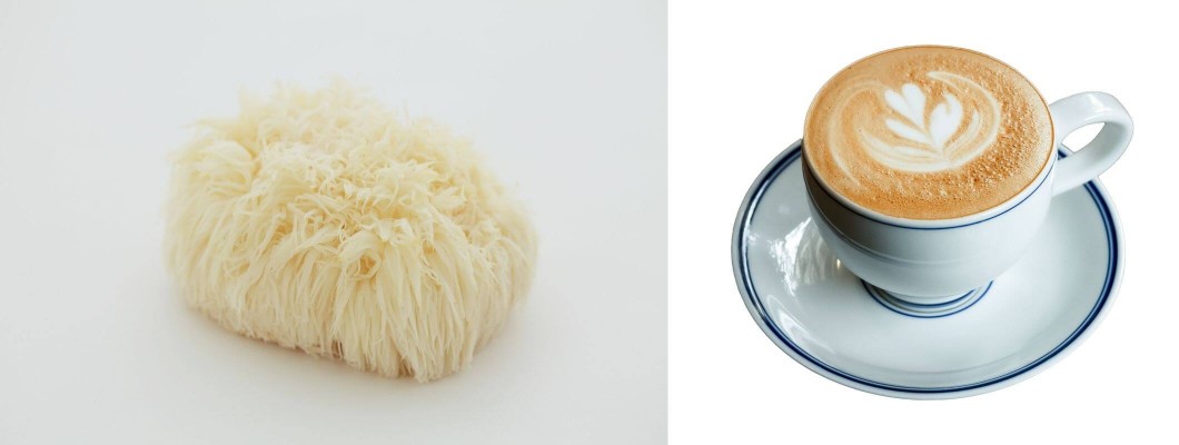 Lions Mane Kahve ve Faydaları Lions Mane Kahve ve Faydaları