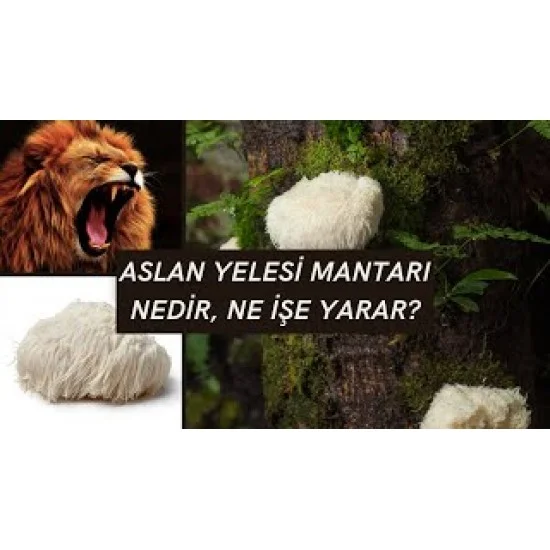 DXN Lions Mane Lemon Matcha