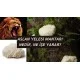 DXN Lions Mane Lemon Matcha