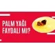 DXN Ganozhi Massage Oil Ganodermalı Masaj Yağı	