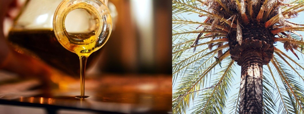 Palm Yağı: Çok tartışıldı, faydalı mı zararlı mı? Palm Yağı: Çok tartışıldı, faydalı mı zararlı mı?