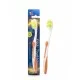 DXN Diş Fırçası (Toothbrush for adults)