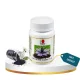 DXN Black Cumin Plus 30 Capsules (Çörek Otu) DXN Black Cumin Plus 30 Capsules (Çörek Otu)