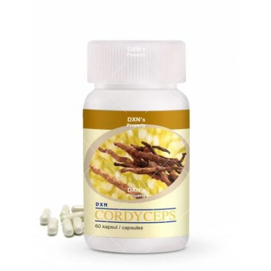 DXN Cordyceps (Tırtıl Mantarı) DXN Cordyceps (Tırtıl Mantarı)
