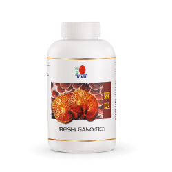 DXN Reishi Gano (RG) 360 Kırmızı Mantar Ganoderma Lucidum Gold