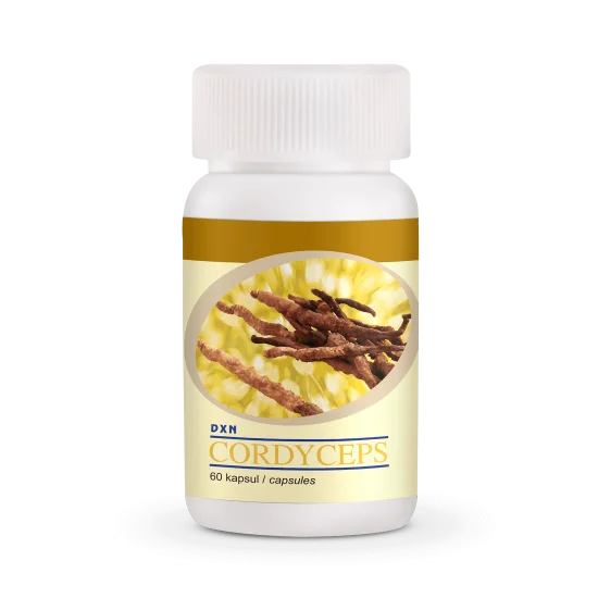 DXN Cordyceps (Tırtıl Mantarı) DXN Cordyceps (Tırtıl Mantarı)