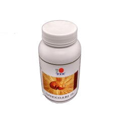 DXN Ganocelium (GL) Kırmızı Mantar Ganoderma Lucidum